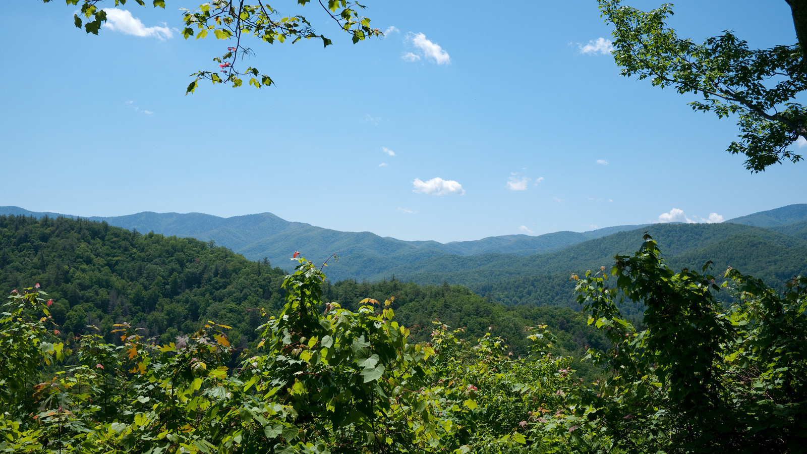 View of Cataloochee area in Great Smoky Mountains